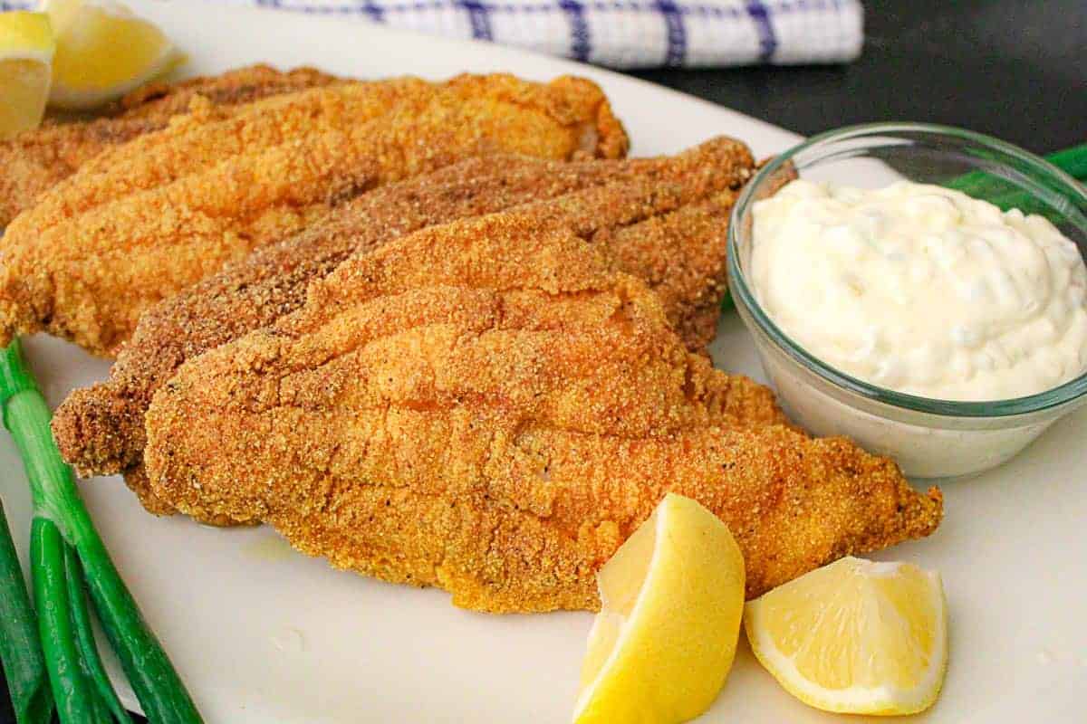 Fried cat fish