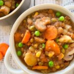 INSTANT POT VEGAN STEW