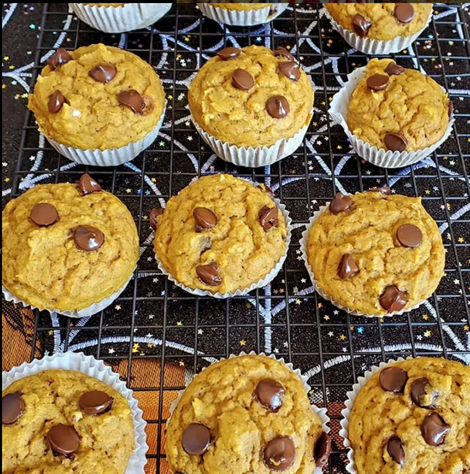 healthy pumpkin chocolate chip muffins