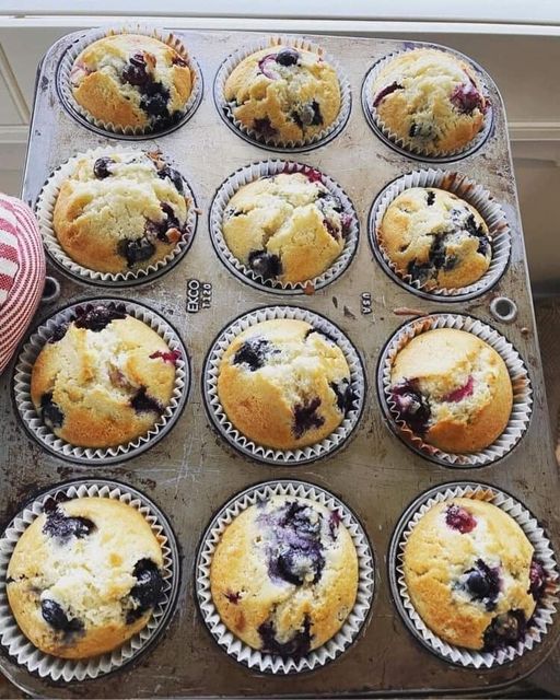 1 Point Blueberry muffins