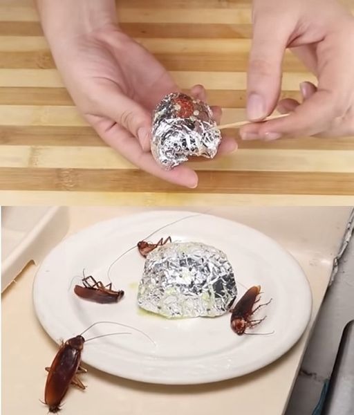 Place a ball of aluminum foil in your house and all cockroaches will disappear