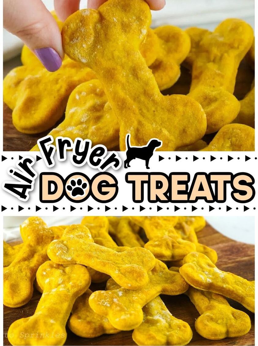 Air Fryer Dog Treats