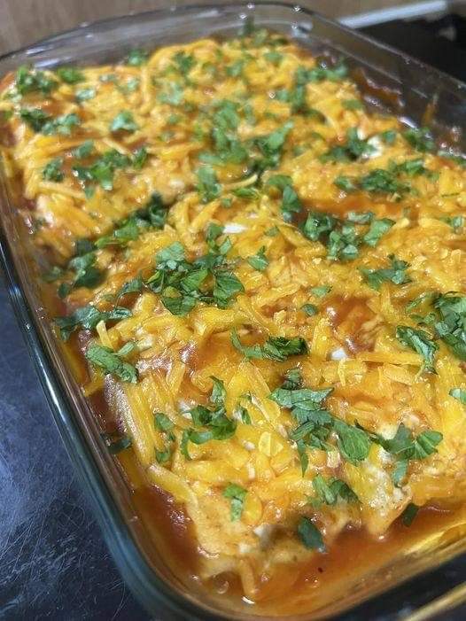 Vegan enchilada