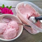 Vegan Raspberry Ice Cream.