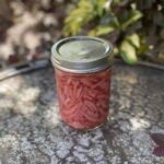 VEGAN PICKLED RED ONIONS.