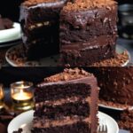 Vegan Blackout Cake