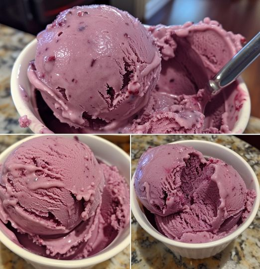 Vegan Blueberry Yogurt Ice Cream