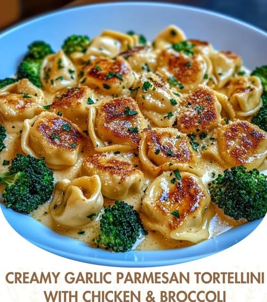 Creamy Garlic Parmesan Tortellini with Chicken & Broccoli