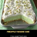 Pineapple Paradise Cake