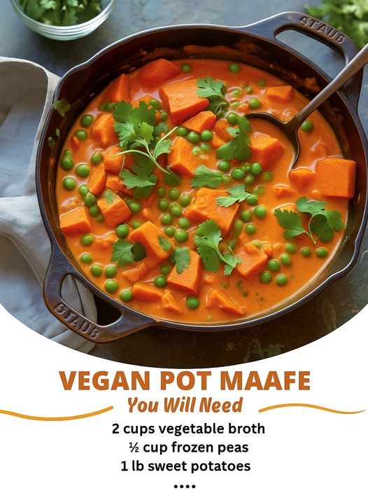 Vegan Pot Maafe
